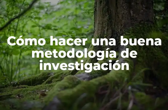 Cómo Hacer una Buena Metodología de Investigación