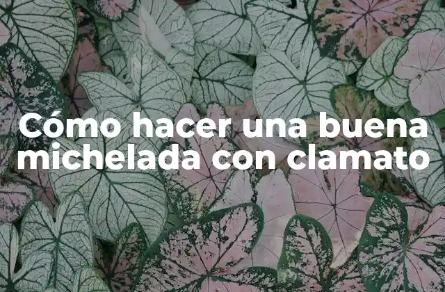 Cómo Hacer una Buena Michelada con Clamato