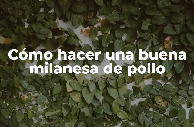 Cómo Hacer una Buena Milanesa de Pollo