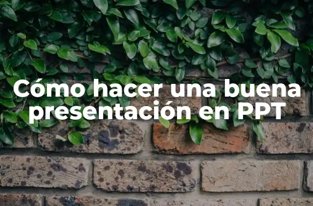 Cómo Hacer una Buena Presentación en Ppt