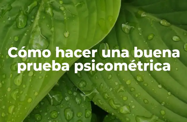 Cómo Hacer una Buena Prueba Psicométrica 2 Cómo hacer una buena prueba psicométrica