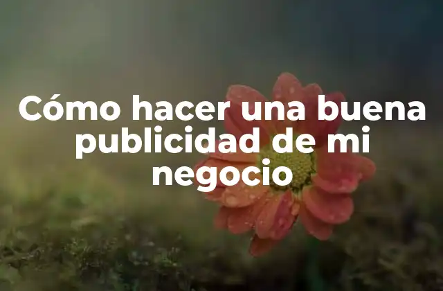 Cómo Hacer una Buena Publicidad de Mi Negocio
