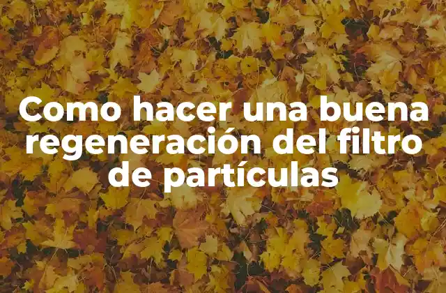 Como Hacer una Buena Regeneración Del Filtro de Partículas