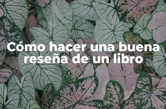 Cómo Hacer una Buena Reseña de un Libro