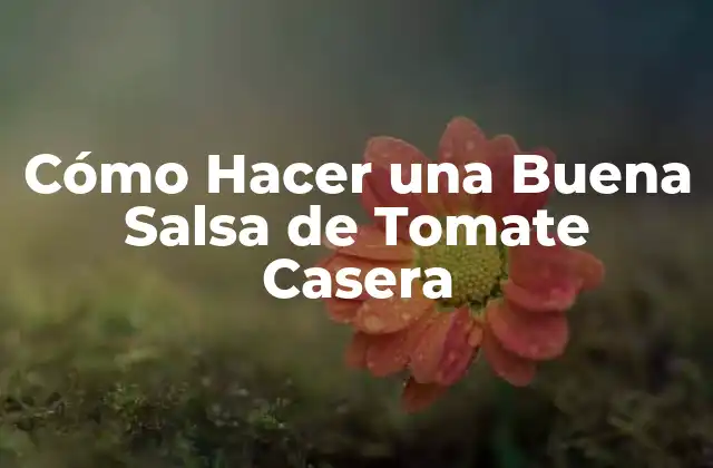 Cómo Hacer una Buena Salsa de Tomate Casera