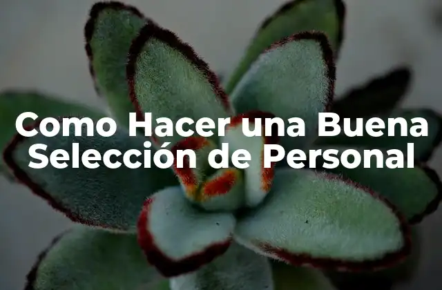 Como Hacer una Buena Selección de Personal