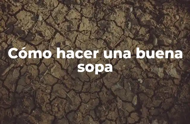 Cómo Hacer una Buena Sopa