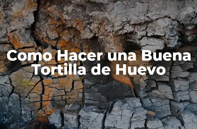 Como Hacer una Buena Tortilla de Huevo