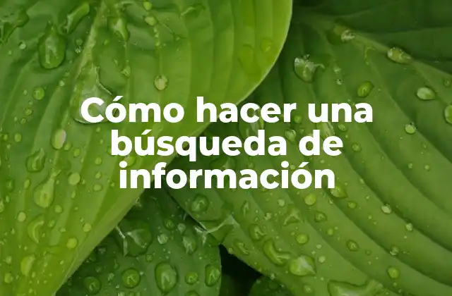 Cómo Hacer una Búsqueda de Información