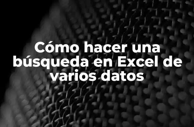 Cómo hacer una búsqueda en Excel de varios datos