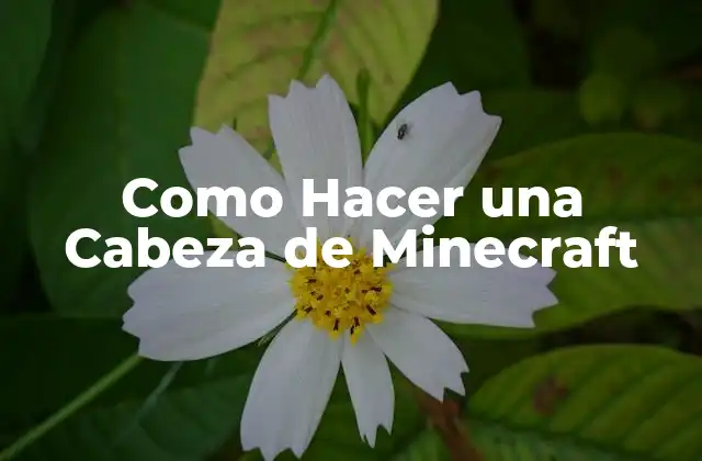 Como Hacer una Cabeza de Minecraft