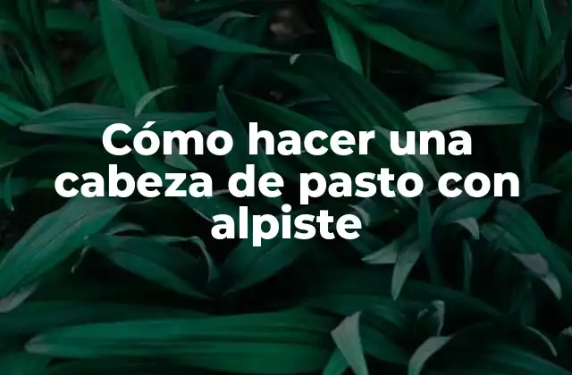 Cómo Hacer una Cabeza de Pasto con Alpiste