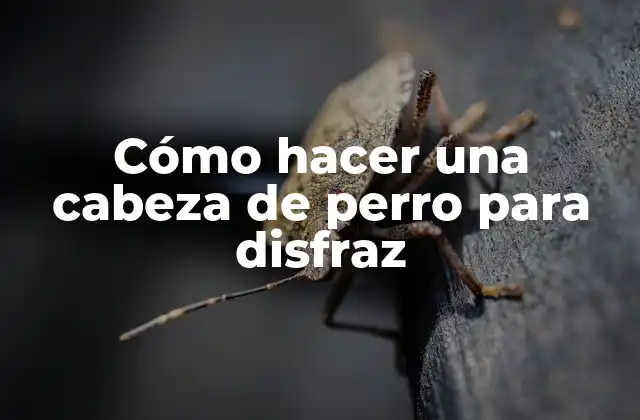 Cómo Hacer una Cabeza de Perro para Disfraz