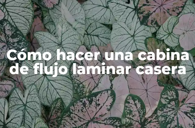 Cómo Hacer una Cabina de Flujo Laminar Casera 2 Cómo hacer una cabina de flujo laminar casera