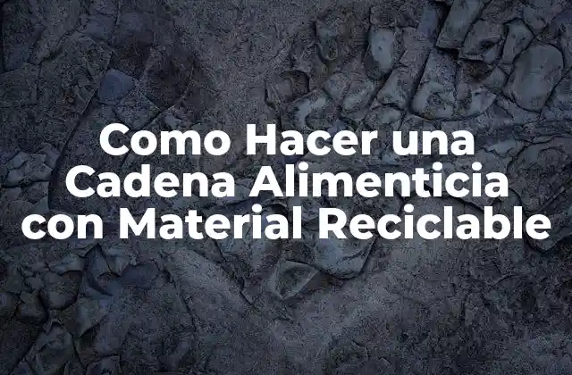 Como Hacer una Cadena Alimenticia con Material Reciclable 2 ¿Qué es una Cadena Alimenticia con Material Reciclable?