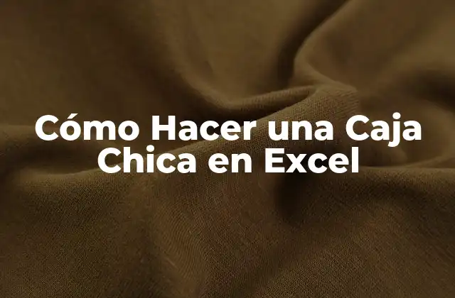 Cómo Hacer una Caja Chica en Excel