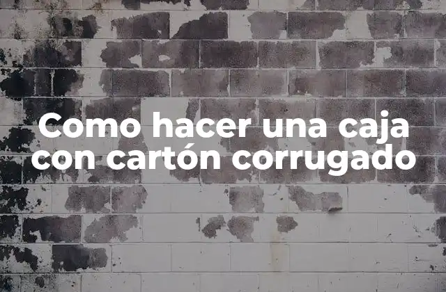 Como Hacer una Caja con Cartón Corrugado