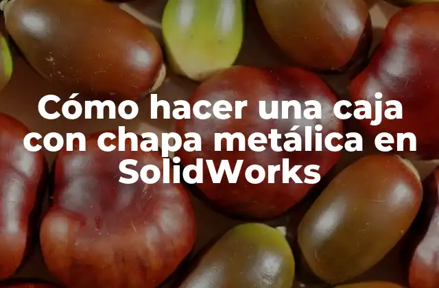 Cómo Hacer una Caja con Chapa Metálica en Solidworks
