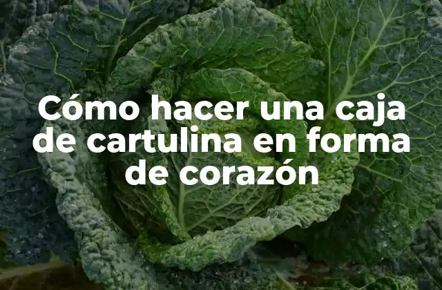 Cómo Hacer una Caja de Cartulina en Forma de Corazón