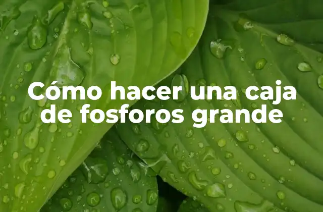 Cómo Hacer una Caja de Fosforos Grande