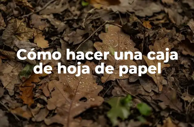 Cómo Hacer una Caja de Hoja de Papel