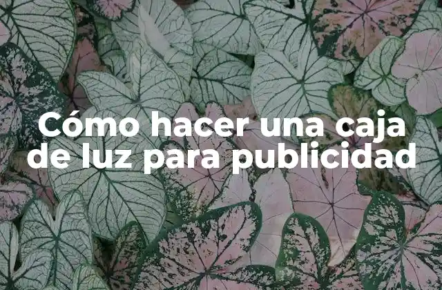 Cómo Hacer una Caja de Luz para Publicidad