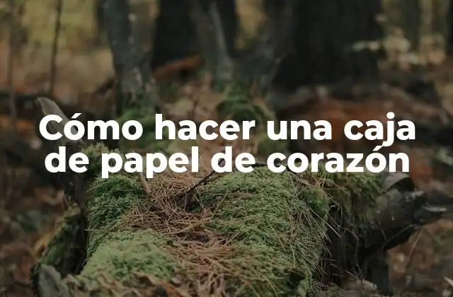 Cómo Hacer una Caja de Papel de Corazón