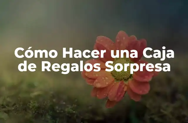 Cómo Hacer una Caja de Regalos Sorpresa