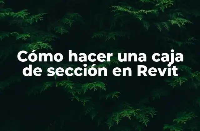 Cómo Hacer una Caja de Sección en Revit