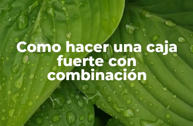 Como Hacer una Caja Fuerte con Combinación