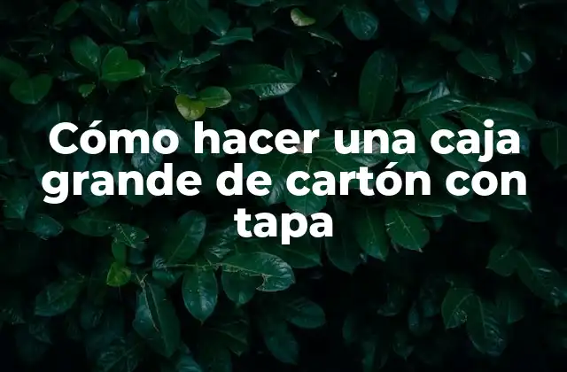 Cómo Hacer una Caja Grande de Cartón con Tapa