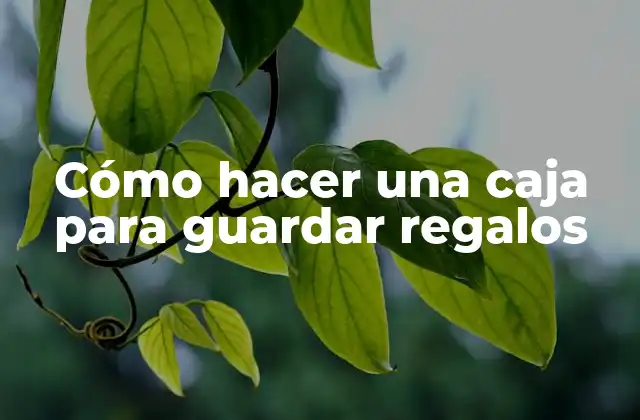 Cómo Hacer una Caja para Guardar Regalos