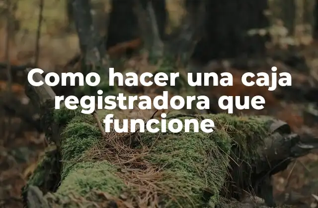 Como Hacer una Caja Registradora que Funcione