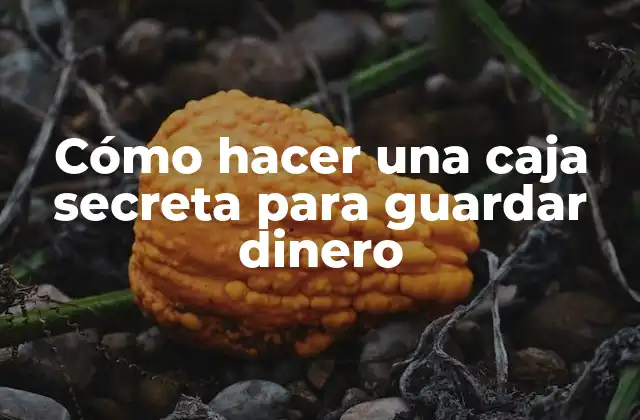 ¿Qué es una caja secreta para guardar dinero?