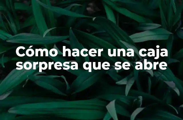 Cómo Hacer una Caja Sorpresa que Se Abre