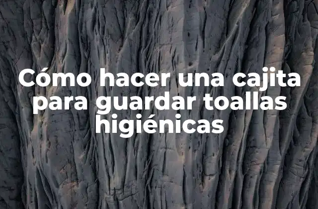 Cómo Hacer una Cajita para Guardar Toallas Higiénicas