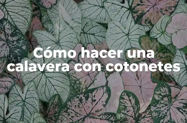 Cómo Hacer una Calavera con Cotonetes