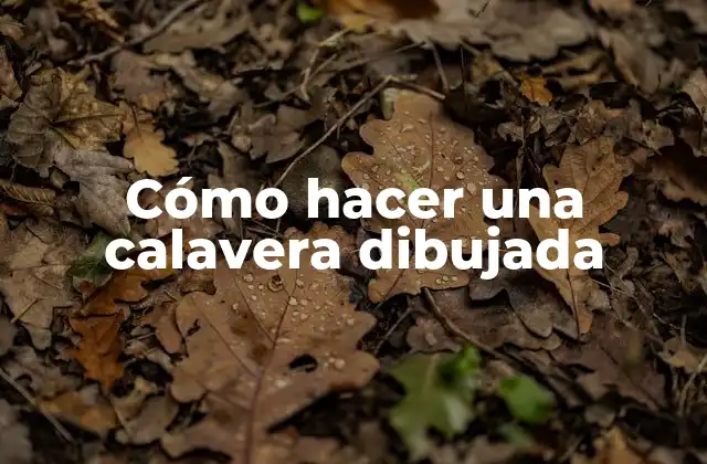 Cómo Hacer una Calavera Dibujada 2 ¿Qué es una calavera dibujada?