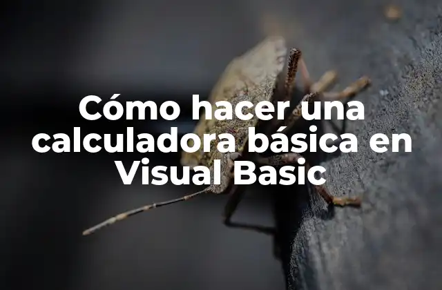 Cómo Hacer una Calculadora Básica en Visual Basic 2 Cómo hacer una calculadora básica en Visual Basic