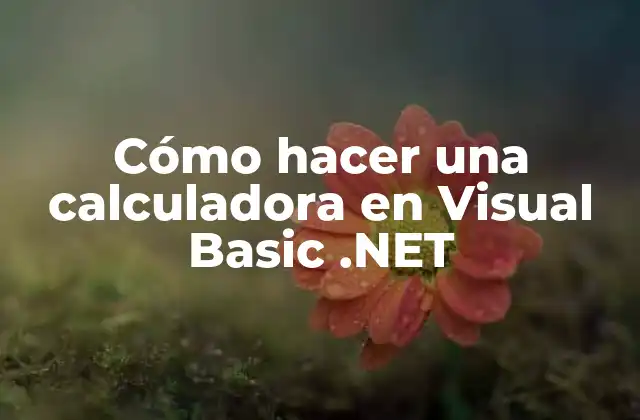Cómo Hacer una Calculadora en Visual Basic .net