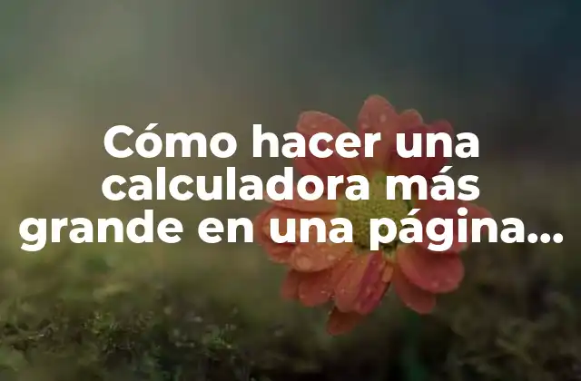 Cómo Hacer una Calculadora Más Grande en una Página Web