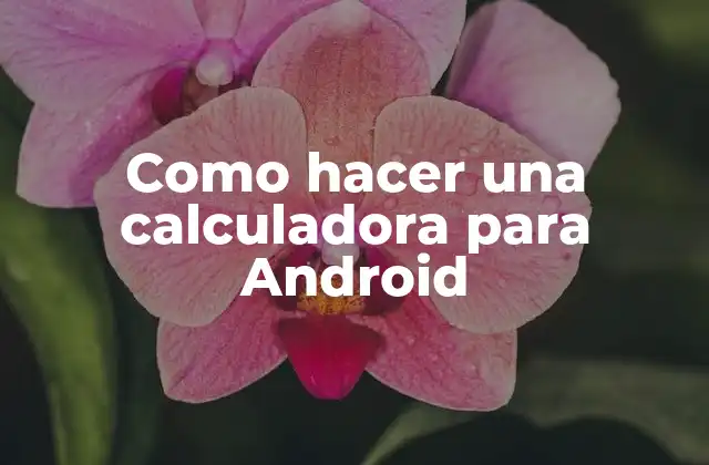 Como Hacer una Calculadora para Android