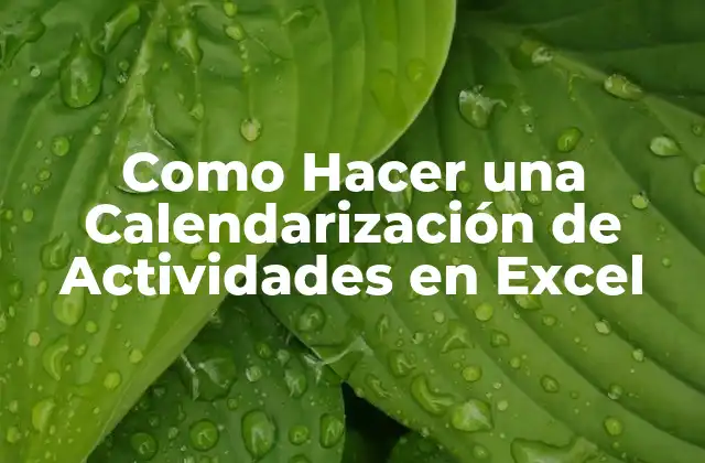 Como Hacer una Calendarización de Actividades en Excel