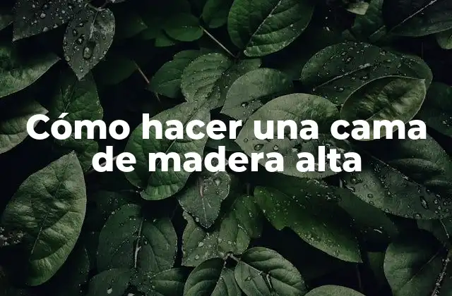 ¿Qué es una cama de madera alta?