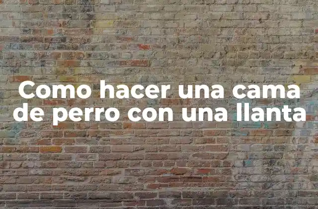 Como Hacer una Cama de Perro con una Llanta