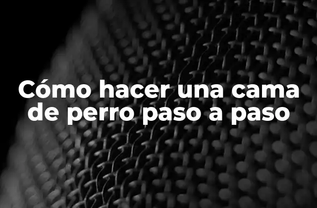 Cómo Hacer una Cama de Perro Paso a Paso 2 Cómo hacer una cama de perro paso a paso