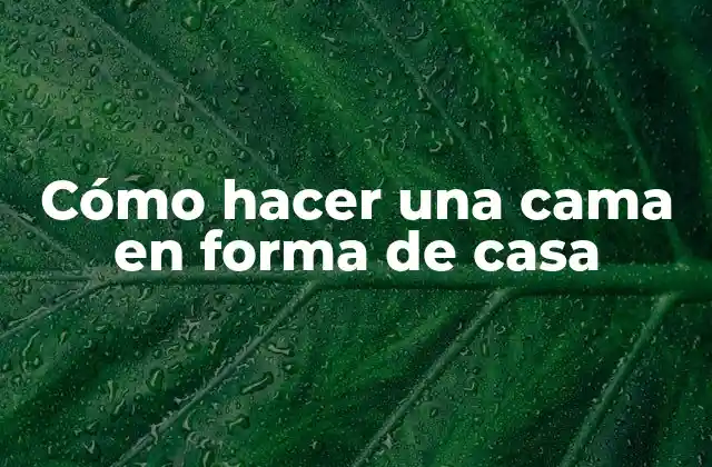 Cómo Hacer una Cama en Forma de Casa