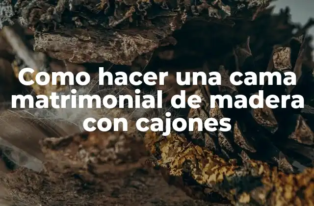 Como Hacer una Cama Matrimonial de Madera con Cajones