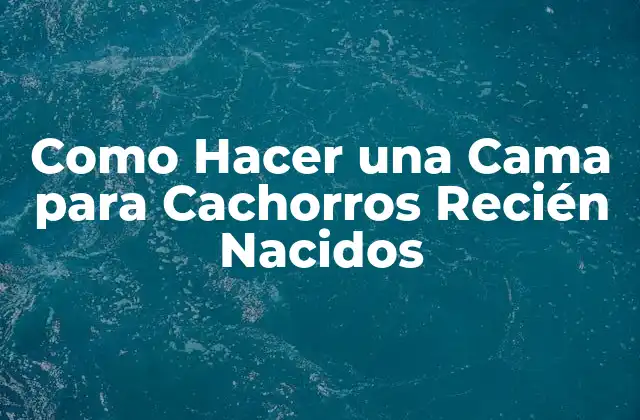 Como Hacer una Cama para Cachorros Recién Nacidos