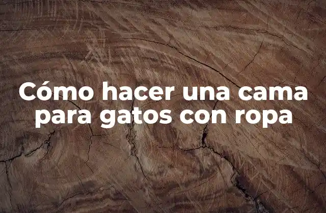 Cómo Hacer una Cama para Gatos con Ropa